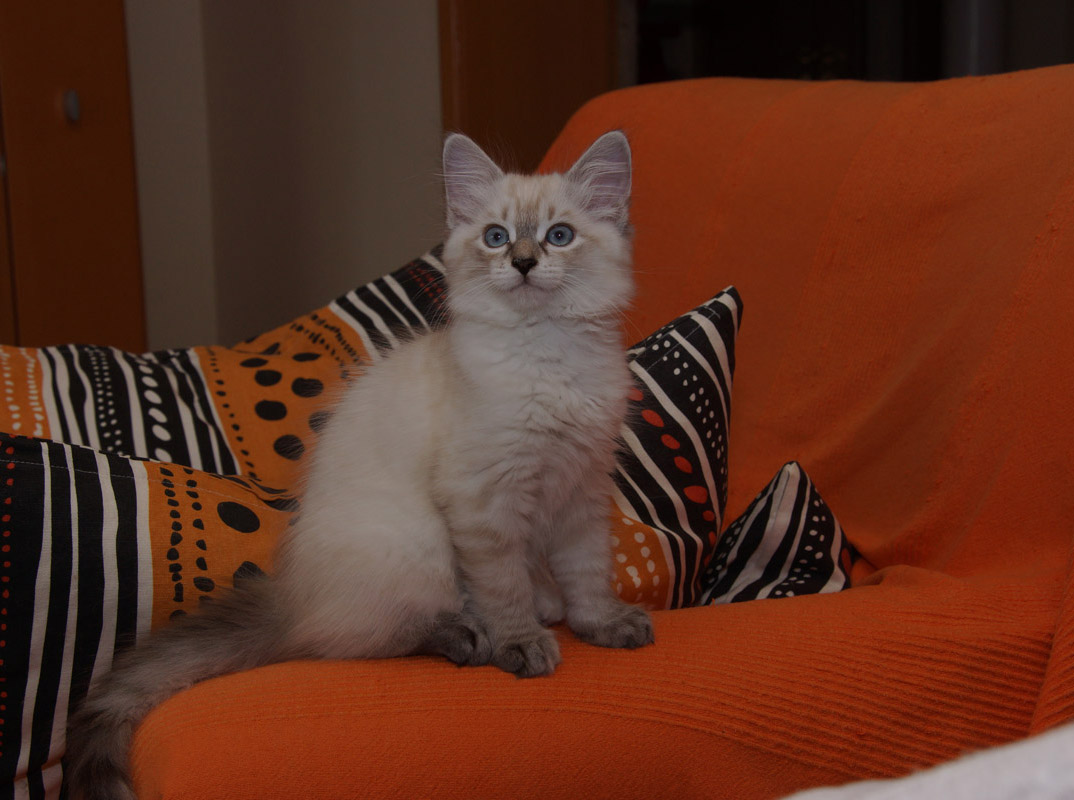 Rachel am 6.7.2014